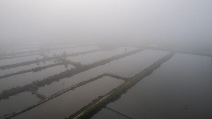 Aerial view of misty fish ponds and agricultural fields, creating an ethereal landscape with muted...