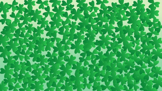 Green background with vector clover leaves, a festive touch to your St. Patrick's Day celebration. 4K animation