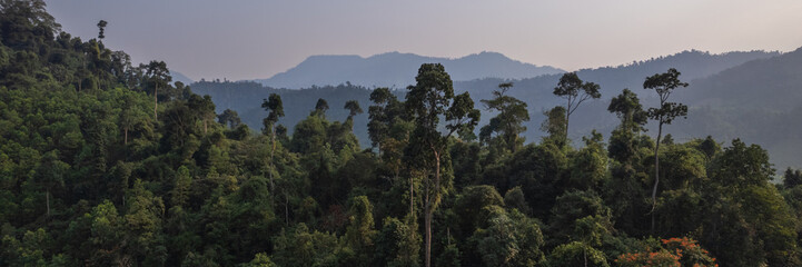 Panoramic view of a dense tropical rainforest with layered hills under a hazy sky, suitable for eco-tourism and environmental conservation themes or backgrounds with copy space, Earth day