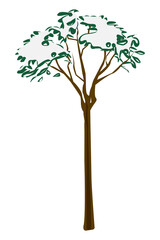 Obraz premium Snowy tree illustration