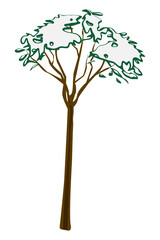 Snowy tree illustration