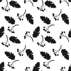 Pattern Rowan branch with berries and leaf imprint, silhouette in black. PNG.