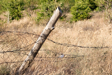 Rustic Countryside Fence, Wooden Post and Barbed Wire Amidst a Grassy Field