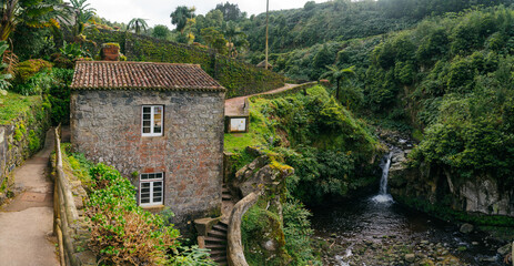 Fototapeta na wymiar Ribeira dos Caldeirões Nature Park in Achada, Nordeste, São Miguel, Azores Islands, Portugal.