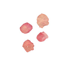 Abstract pink watercolor on white background. The color splashing in the paper. It is a hand drawn.