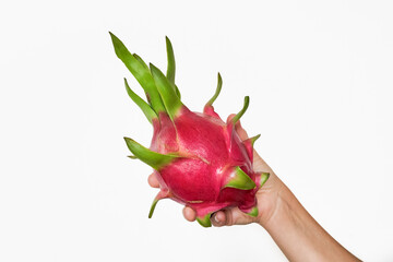Hand holding a ripe dragon fruit with a clear white background, space for text, suitable for...