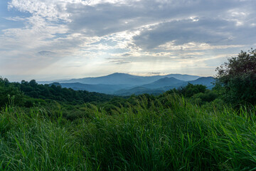 Sky and mountains on a cloudy day before rain. Dark green grass in the foreground. Trees and mountain views with many peaks. Beautiful dark clouds.