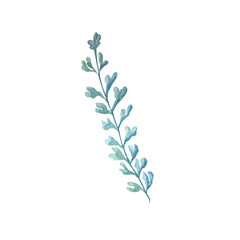 Watercolor green leaves elements. Collection botanical isolated on white background suitable for Wedding Invitation, save the date, thank you, or greeting card.