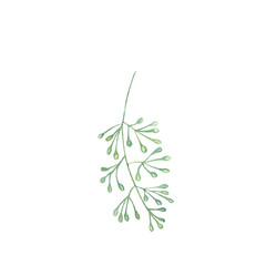Naklejka premium Watercolor green leaves elements. Collection botanical isolated on white background suitable for Wedding Invitation, save the date, thank you, or greeting card.