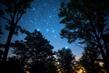 Twinkling stars and constellations illuminating peaceful forest in the tranquil night sky