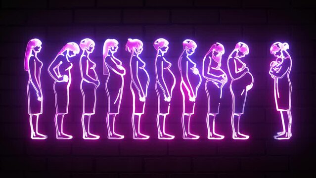 neon pregnancy stage icon animation is the simple best object on a brick wall. Human embryonic development