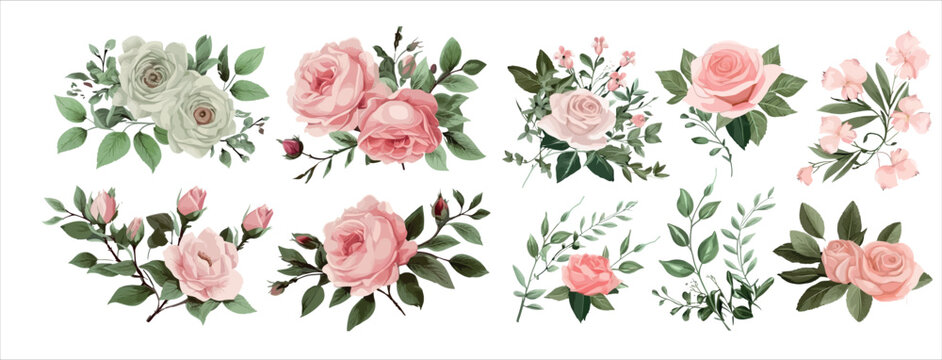 Elegant Collection of Pink Roses and Green Leaves; Detailed Vector Illustrations for Invitations © Zaleman