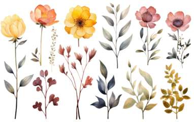 An assortment of colorful flowers arranged neatly. The flowers vary in size and color, creating a visually striking display. Each bloom is unique, showcasing different shapes and textures.