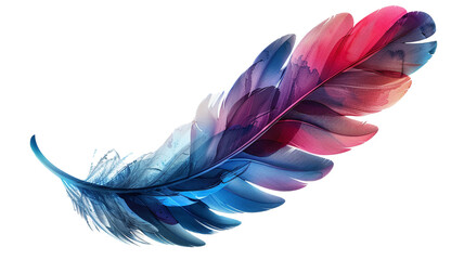 Elegant soarers, radiant hues, each feather a masterpiece displayed. This png file on a transparent background. 