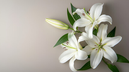 branch of white lilies flowers, mourning or funeral background. generative ai