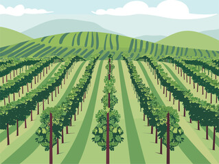 A picturesque cartoon illustration of a vineyard nestled among rolling mountains under a blue sky with fluffy clouds. The natural landscape is filled with green vegetation and agricultural land