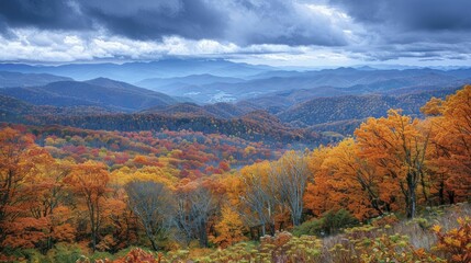 Guide to eco-tourism spots during fall foliage, evergreen conservation meets seasonal natural artistry.