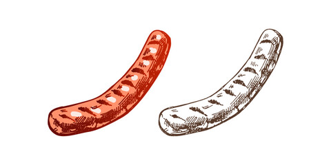 Organic food. Hand-drawn colored and monochrome vector sketch of barbecue grilled sausage. Vintage illustration. Decorations for the menu of cafes and labels. Engraved image.