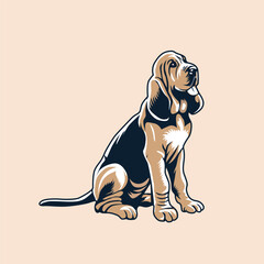 Bloodhound sitting looking up illustration Vector
 - obrazy, fototapety, plakaty