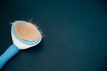 Pet hair care essentials, A clump of Scottish Fold cat hair and a grooming comb. Tackling pet fur...