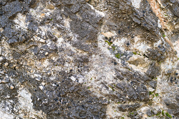 Texture of a natural rock with patches of earth and plants. Abstract stone texture.