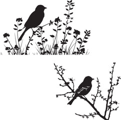 Black silhouette bird on the tree branch white background