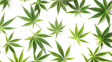 Marijuana and Cannabis on a White Background - obrazy, fototapety, plakaty