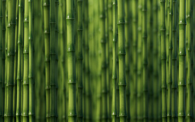 Green natural bamboo plant background, 3d rendering.