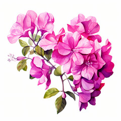 Fototapeta na wymiar bouquet of bougainvillea flowers