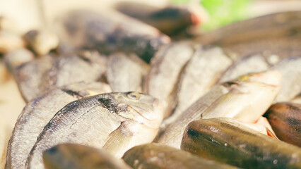 Hands of a white male with a shopping cart while waiting for his turn at the supermarket. Close-up. Panning