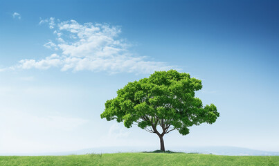 photo of tree view