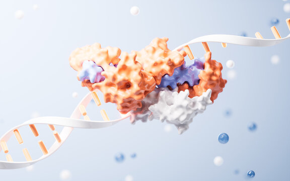 DNA and protein with biological concept, 3d rendering.