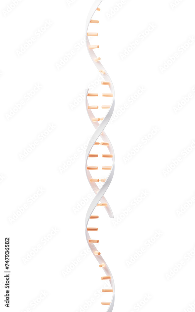 Wall mural DNA with biological concept, 3d rendering.