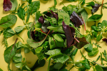 Healty food. Green leaves on a yellow table