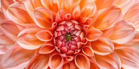 Detailed shot of a vibrant orange flower, ideal for botanical concepts