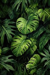 Vibrant green leaves contrast against a dark black background, perfect for nature or environmental themes