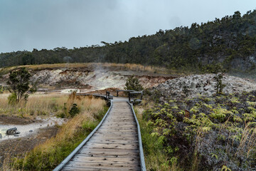 At Ha'akulamanu (Sulphur Banks), volcanic gases seep out of the ground, along with ground water...
