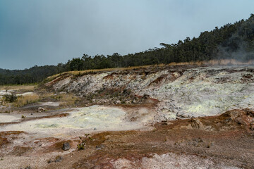 At Ha'akulamanu (Sulphur Banks), volcanic gases seep out of the ground, along with ground water...