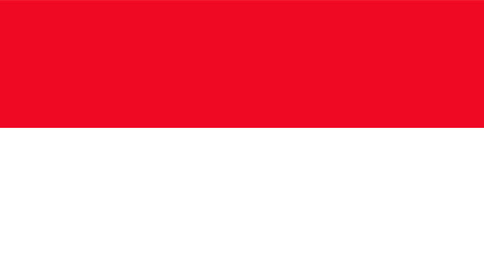 vector illustration of the flag of Indonesia