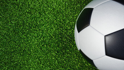 A soccer ball lies on the grass..