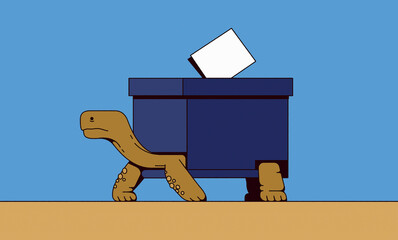 Tortoise ballot box