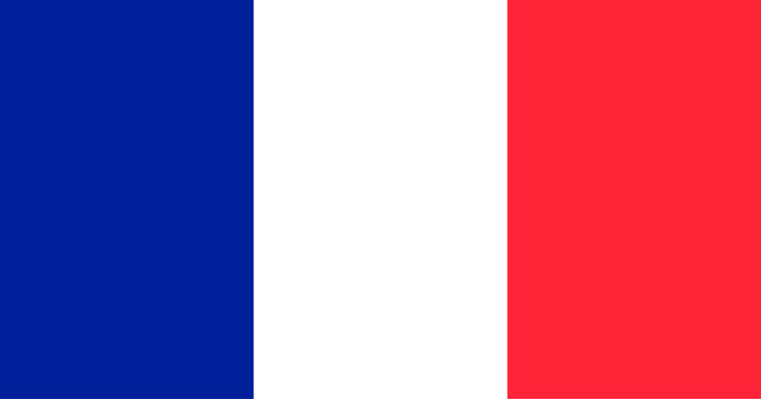 vector illustration flag of France