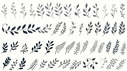 Collection of different types of leaves on a plain white background. Perfect for botanical or nature-themed designs