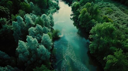 Naklejka na ściany i meble Peaceful river winding through lush green forest, ideal for nature backgrounds