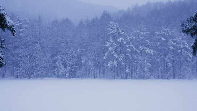 冬の御射鹿池（みしゃかいけ）の風景動画