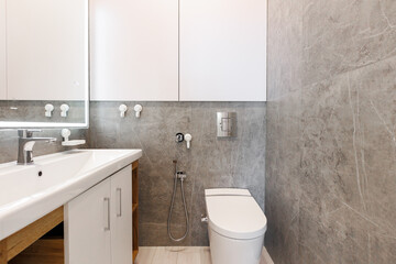 modern bathroom room with toilet and washing machine
