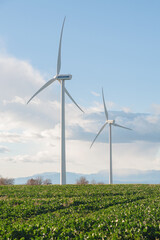 two windmills rising out of green fields. Renewable energy. Sustainable energy.