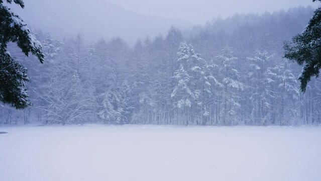 吹雪の御射鹿池（みしゃかいけ）の風景動画