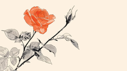 A drawing of a single rose on a white background 