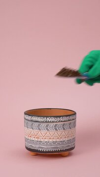 Time lapse Video Of Basil Planting On A Uniform Pink Background, Vertical Video, Minimal Video, Trendy Modern